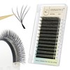 ANNAFRIS Eyelash Extension 2Tips 5D WW Lash Extension 0.07 D