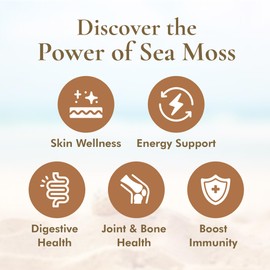 HalalEveryDay Wildcrafted Irish Sea Moss - 1lb Bag- 100% Pure All Natural | Vitamin & Mineral Rich | No Preservatives | Golden | 16 oz