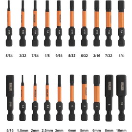 Allen Wrench Hex Bit Set - Railer 2 Inch Impact Driver 20pc Hex Bit Set With A Bit Holder & Carabiner. Premium S2 Steel, Ideal For Furniture Screws