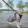 pangdi Cat Harness and Leash Set Escape Proof Tactical Extra