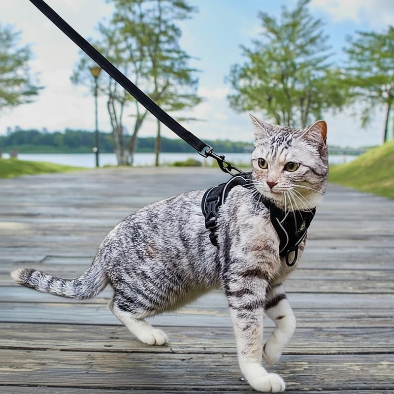 pangdi Cat Harness and Leash Set Escape Proof Tactical Extra