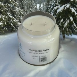 EcoScent Hand Poured Soy & Coconut Wax Candle, 16 oz, Handblown Apothecary Jar (Woodland Snow)