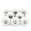 ETHNICITI 8 Pack White Crackle Pumpkin Melon Ceramic Door Knobs Vintage Shabby Chic Cupboard Drawer Pull Handles