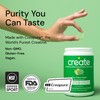 Creatine Monohydrate Gummies for Men & Women - Boost Focus,