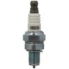 Oregon Spark Plug