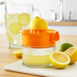 Unbranded 10 Ounce Citrus Juicer Easy Screw Top Glass and Plastic Dishwasher Safe Orange