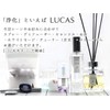LUCAS White Sage Purifying Incense (White Sage Stick)