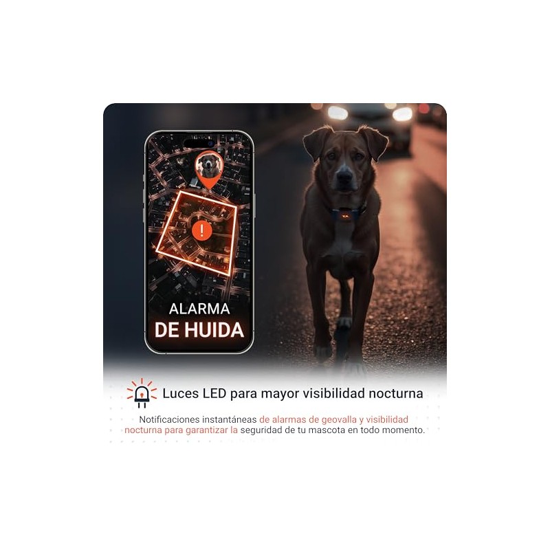 PAJ Localizador GPS Perros 4G - Incl. 3 Meses de