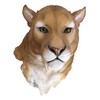 Ebros Gift Sarabi Large African Lioness Head Hanging Wall Decor
