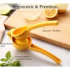Domonic Home Lemon Squeezer Manual, Metal Lemon Juicer and Bird