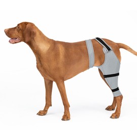 Joypig Dog Sleeve for Rear Legs to Stop Licking, Upgraded Surgical Recovery Sleeve for Hind Back Leg Wound,TPLO, ACL Surgery, Light Comfortable Cone Alternative (Right, 2XL)