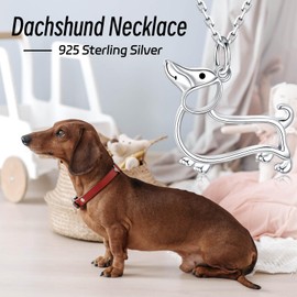 Zepmais Dachshund Necklace 925 Sterling Silver-Cute Weiner Dog Pendant Necklace for Young Ones-Puppy Jewelry Gifts for Women Dog Lovers