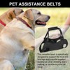 Dog Carrying Aid, Carrying Aid, Dog Stairs, Adjustable for Rear
