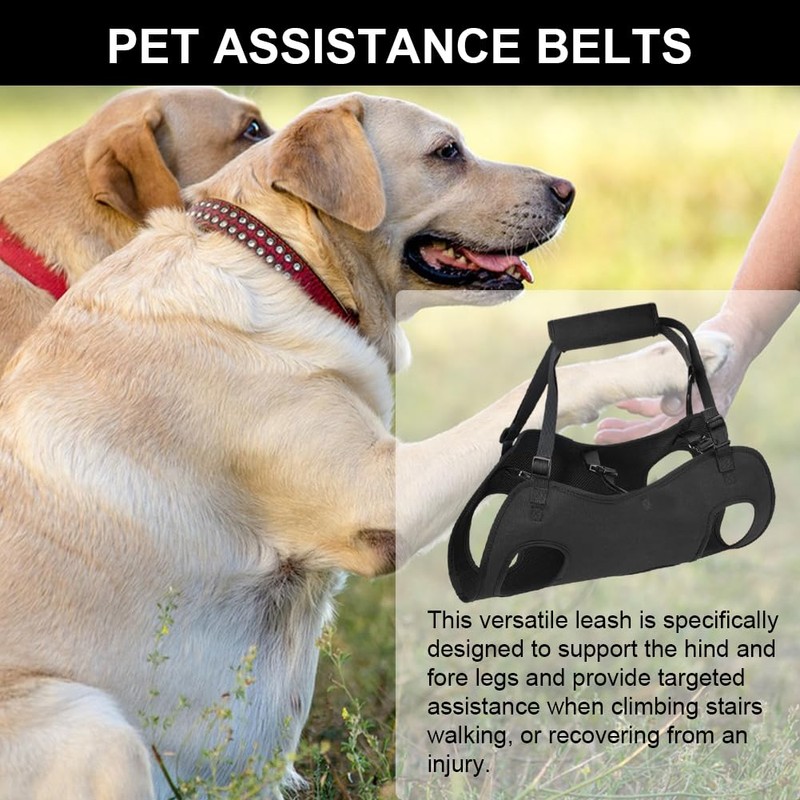 Dog Carrying Aid, Carrying Aid, Dog Stairs, Adjustable for Rear