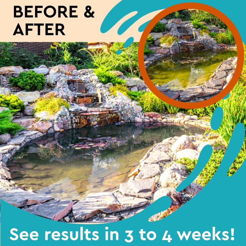Algaecide for Fountains – Clarify and Controls Algae for Large