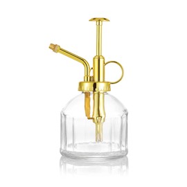 Ebristar Glass Plant Mister Spray Bottle, Succulent Watering Bottle with Golden Top Pump, Vintage Plant Spritzer, Decorative Water Sprayer Small Watering Can for Indoor Outdoor Houseplant - Clear