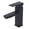Basin Faucet Stainless Steel Surface Black Baking Paint Bathroom Sink
