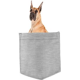 Great Dane Dog in Pocket Car Bumper Magnet, Magnetic for Refrigerator, Decorative Fridge, Office, Whiteboard, Kitchen, Locker Waterproof Decor, Family & Friends, 4x7 in