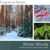 Colonial Candle Scented Jar Candle, Classic Cylinders, Winter Woods, 2
