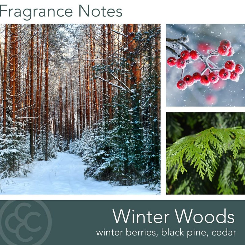 Colonial Candle Scented Jar Candle, Classic Cylinders, Winter Woods, 2