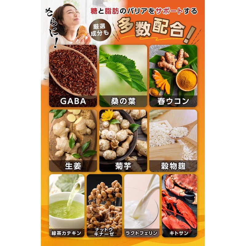 【 糖質 x 脂質 Wケア 】 サラシア 16800 mg イヌリン
