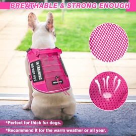 WINSEE Service Dog in Training Mesh Harness with 10 Pet Patches, Soft Air Mesh Breathable Tactical Dog Molle Vest, Reflective Military Pet Vest for Walking Hiking for Medium Dogs