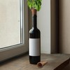 Kikkerland Herb Planters Bottle Top, 1 EA