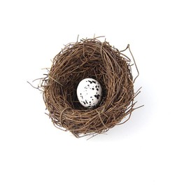 Birds Nest, Artificial Bird Nest Birdhouses, Garden Nature Art Craft Fake Bird's Nest Vintage Bird Cage Creative for Easter Spring Decor Optical Store Window Display (6CM)