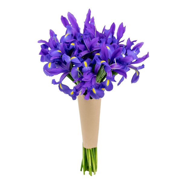 Stargazer Barn Be My Roman Empire Bouquet Telstar Iris Fresh Flowers Bouquet - Prime Delivery, Fresh Cut Bouquet of Flowers Gift For Birthday, Anniversary, Mothers, Get Well - 20 Stems