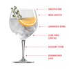 Spiegelau Special Gin and Tonic Glasses Set of 4 -