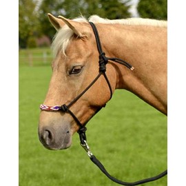 Knotenhalfter INDIAN SPIRIT, WB, schwarz, schwarz
