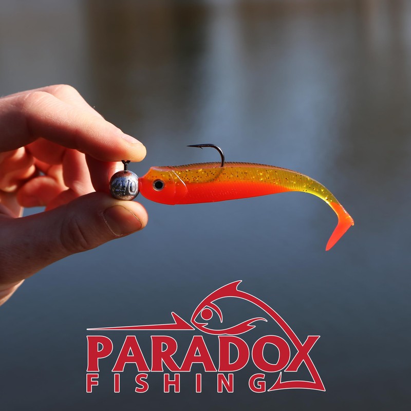 Paradox Fishing Set di 15 teste di jig da 18
