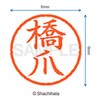 Shachihata Stamp Name 6 Correction Stamp XL - 6 Stamp