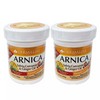Dermaline arnica antiinflammatory ointment with ginger oil 2.5 FL OZ