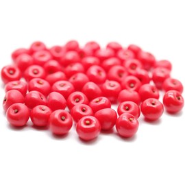 1shopforyou 20 Psc Red Apple Dollhouse Miniatures Toys & Food Kitchen Rec by Handmade