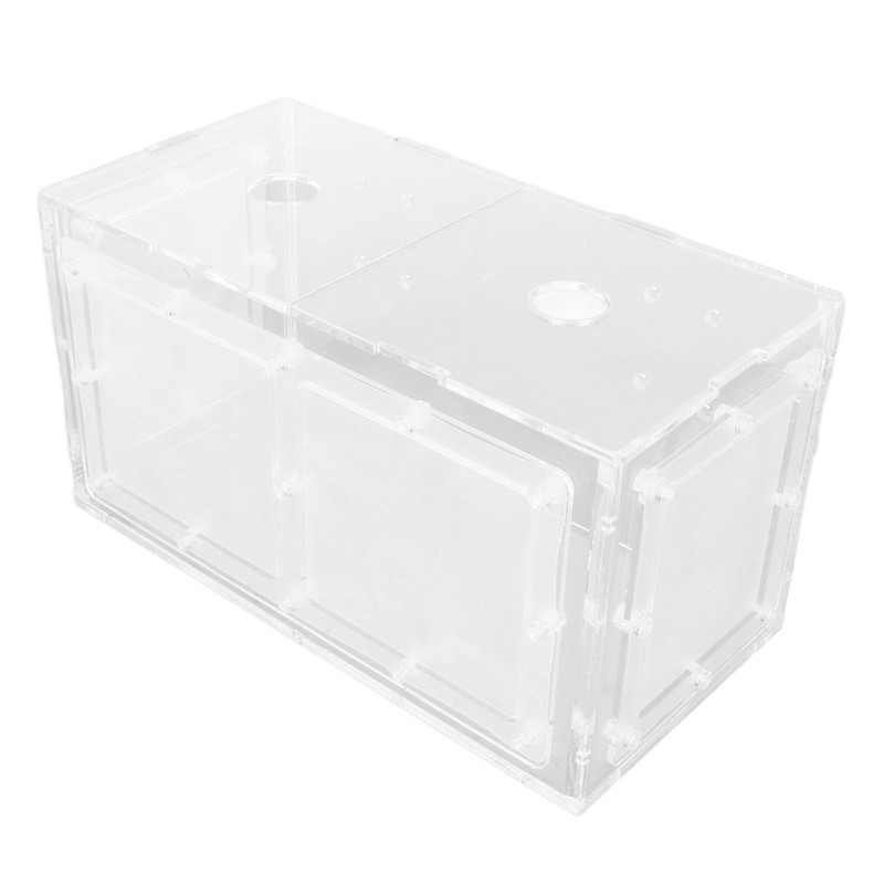 Fish Breeding Isolation Box Transparent Mesh Side Fish Tank Incubator