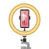 STEREN Aro de luz LED para Selfie MOV-039