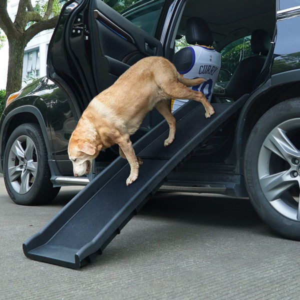 Folding Pet Dog Ramp SUV/Car 62" L Ladder Stairs for Puppy Old Dogs Arthritis Joint Pain Portable Lightweight Dog/Cat Ramp, Durable Pet Ramp Supports up to 150lb, Black