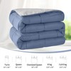 Homelike Moment Lightweight Queen Comforter - Blue Down Alternative Bedding