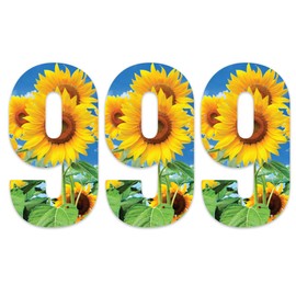 Pack of 3 Sunflower Bin Number Sticker - 9 ideal for Home, Office, Classroom Decoration, Out Door Wheelie Bins, Dustbin V1099 Packwith®