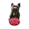 Snuffle Mat for Dogs Lick Mat Slow Feeder Sniff Mat