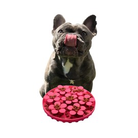 Snuffle Mat for Dogs Lick Mat Slow Feeder Sniff Mat