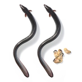 Wellit (현대Hmall)웰릿 아르맨플러스 아르기닌 초고함량 6 000mg 활력 극대화 3종 회로 아미노산 2box (Hyundai Hmall) Wellit Arman Plus Arginine Ultra High Content 6000mg Vitality Maximization 3 Types Circuit Amino Acid 2box