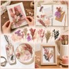 Natural Dried Flowers for Crafts, Colourful Flower Kit for Resin