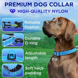 TECEUM Reflective Dog Collar – Sky Blue – XXS – Extra Soft Padding – Basic Nylon Pet Collar – Quick Release Buckle – Fits Small, Medium and Large Dogs, Puppies, Cats – ESA & Service Dog Options