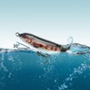 ods lure Topwater Fishing Lure Plopper Bait with Floating Rotating