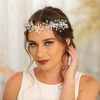 Woeoe Pearls Led Queen Tiara and Crown Silver Bride Wedding