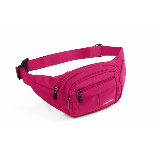 Schlegel Waist Pouch Bag, Waterproof, Unisex, Multi-Functional Hip Pouch for