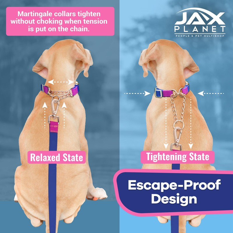Jelly Waterproof Martingale Dog Collar, No Pull Nylon Collar with