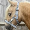 Ruggles Head Collar for Shetland Pony and Miniature Horses |